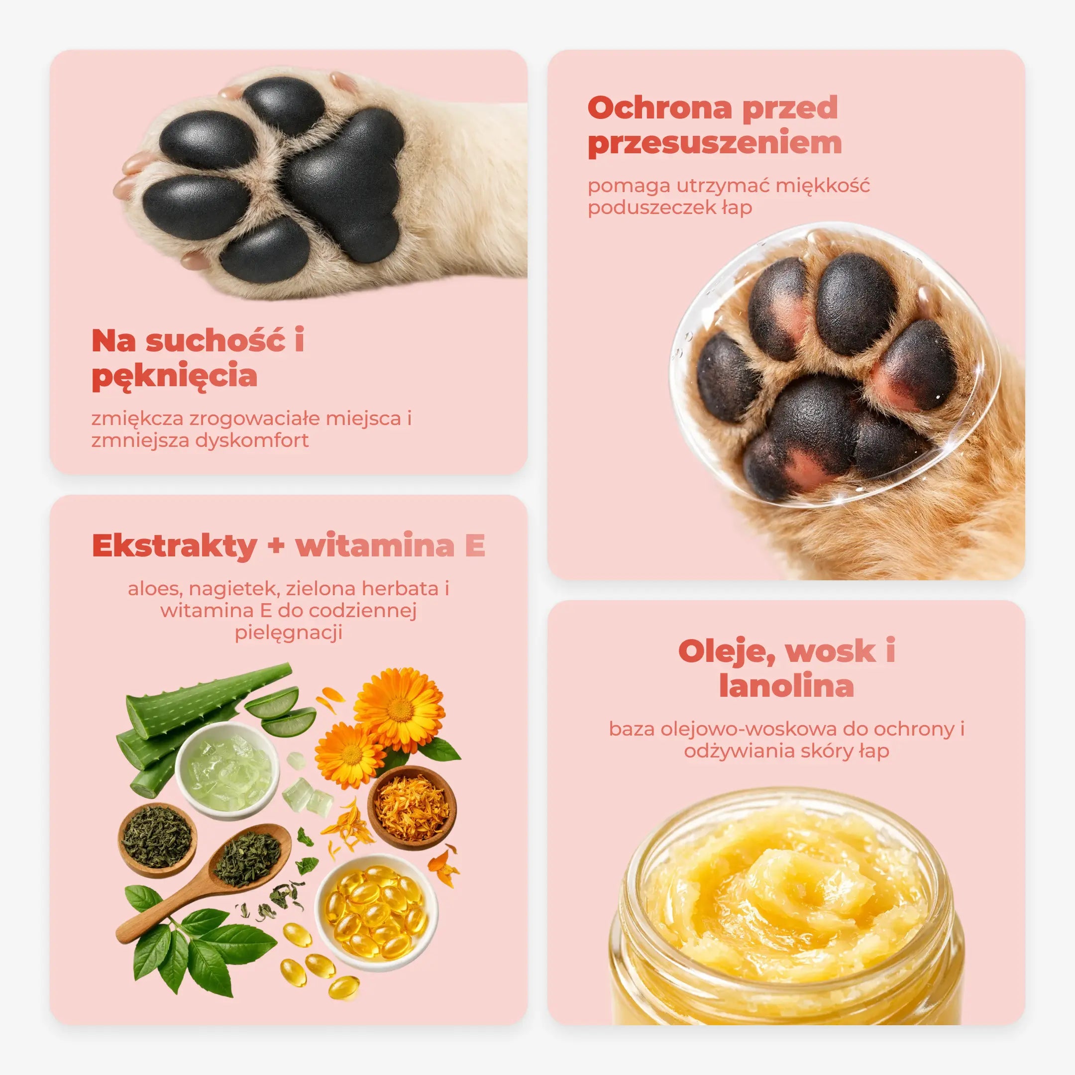 Balsam pielęgnacyjny do łap i nosa psa, 50 g